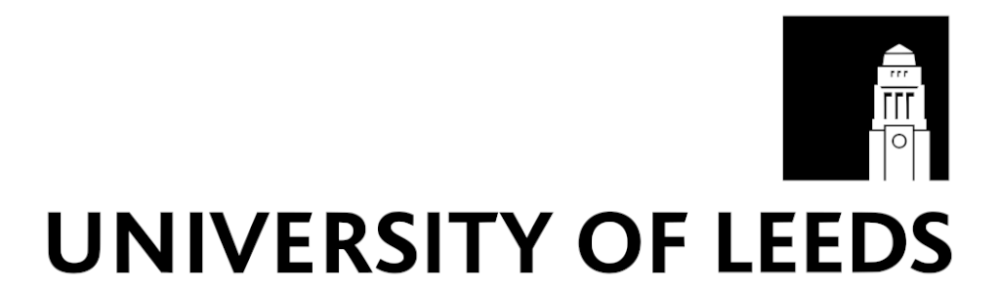 Logo 29